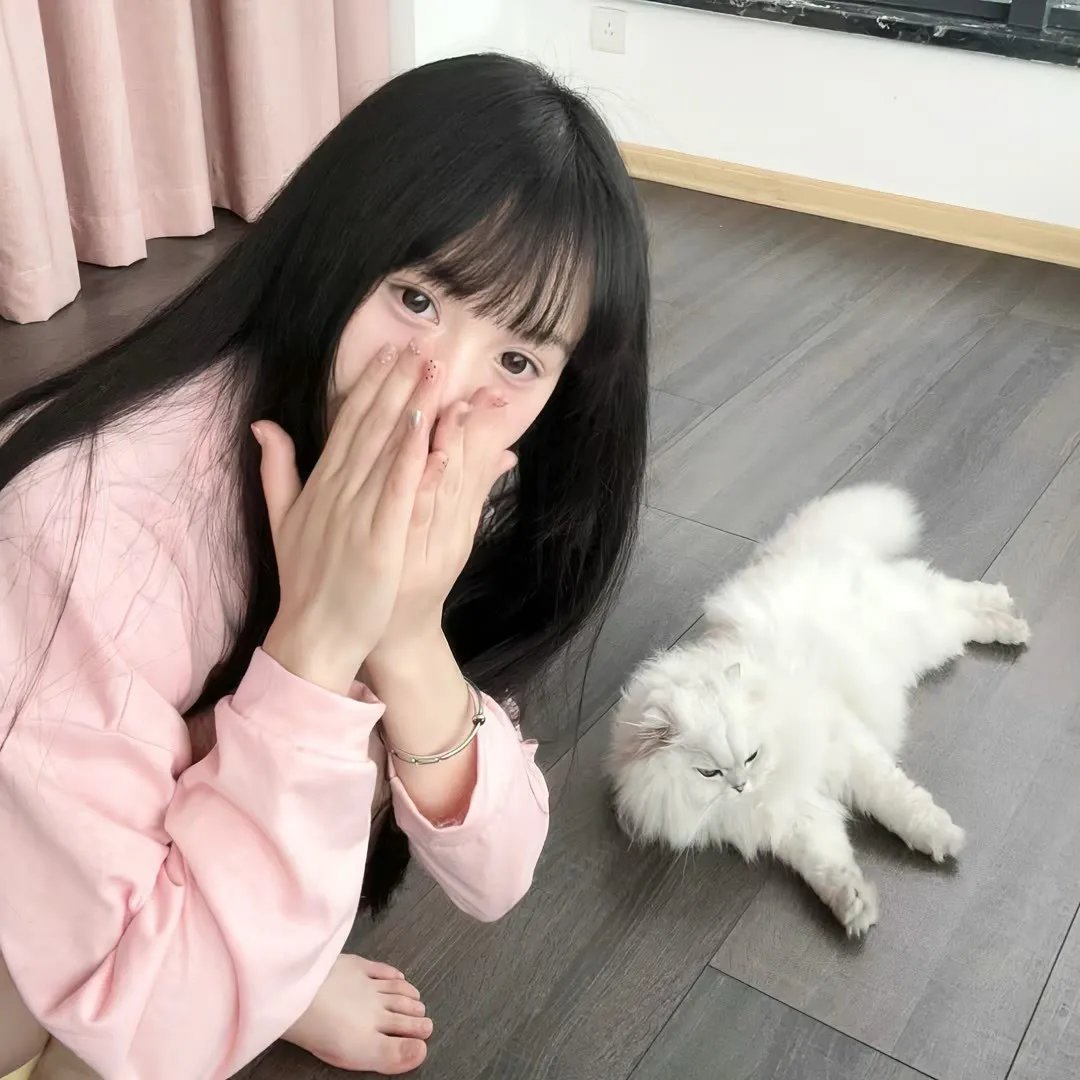 红楼梦第六部